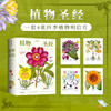 《植物圣经：欧洲传奇花园艾希施泰特花园图谱》植物科普手绘画册-分销 商品缩略图0