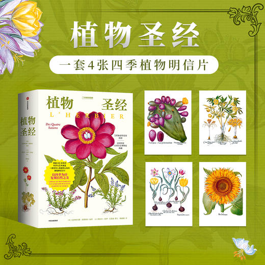 《植物圣经：欧洲传奇花园艾希施泰特花园图谱》植物科普手绘画册-分销 商品图0