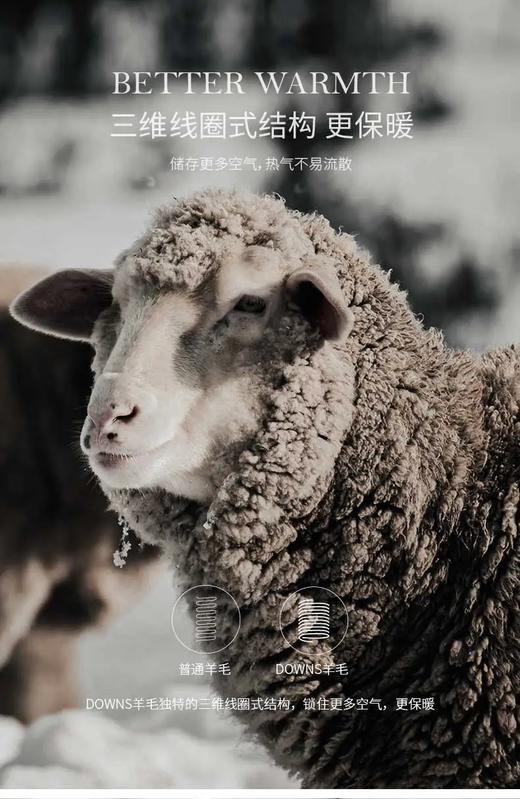 100%澳洲羊毛被秋冬被258元／条（2×2.3米），明天到 商品图9