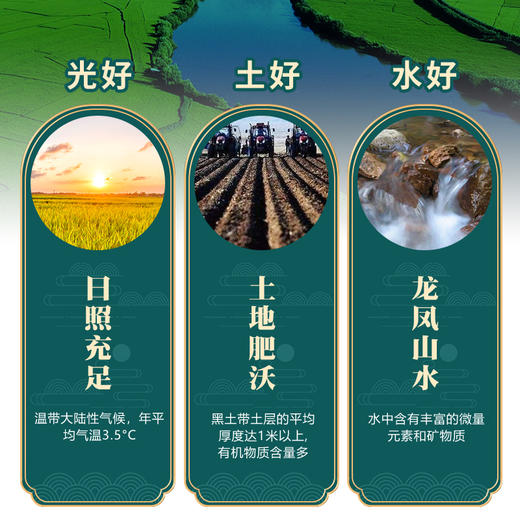 疯抢中！！25年10月新米【五常稻花香2号·有机大米】原产地直发 三标认证PICC承保 执行标准GB/T19266 5/10斤包装 商品图12