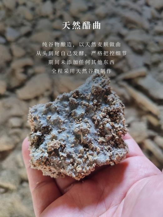 谷养陈醋：山西老陈醋（五年） 商品图3