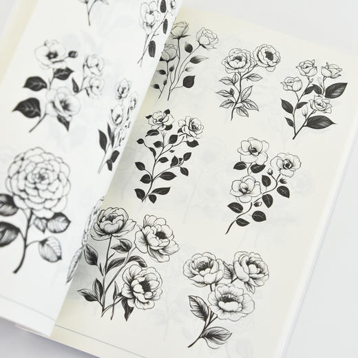 黑白装饰画灵感素材集 植物篇 插画素材画册画集临摹涂色控笔图册 植物插画素材黑白创意插图 商品图3