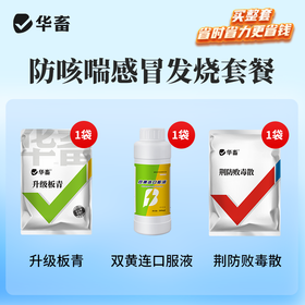 【感冒发烧咳嗽套餐】升级板青500g*1+荆防败毒散500g*1+双黄连口服液500ml*1