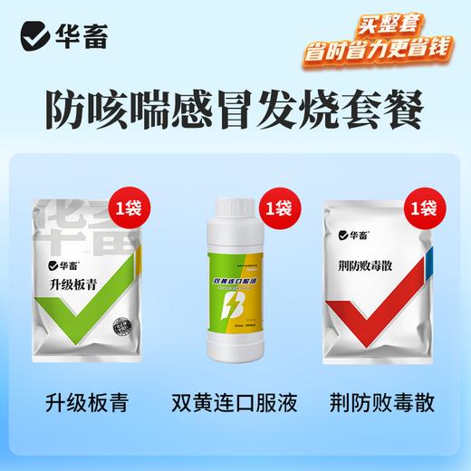 【感冒发烧咳嗽套餐】升级板青500g*1+荆防败毒散500g*1+双黄连口服液500ml*1 商品图0
