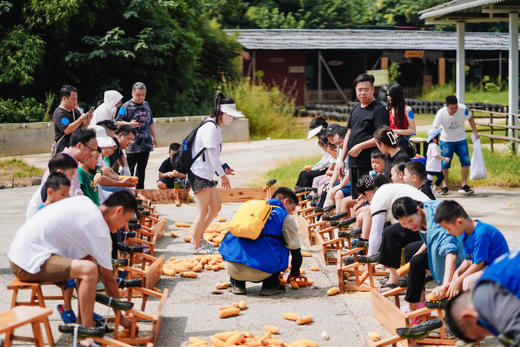 【秋收总动员•嗨在田间地头】亲子一日活动，感受季节的乐趣、丰收的喜悦～

🌾稻田割稻 打谷脱粒🌾
🚜抢收大作战 鸡公车运粮
🌽玉米消消乐 手搓玉米赛
🐟稻田摸鱼 田 商品图1