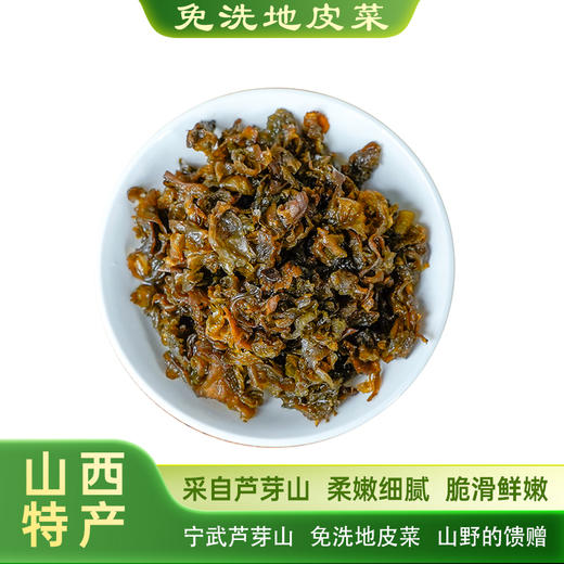 野生免洗地皮菜农家食用干货罐装 商品图3