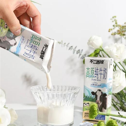 #北方乳业出品\每箱12支\3.6g优质乳蛋白不二西域高原纯牛奶*3箱 商品图5