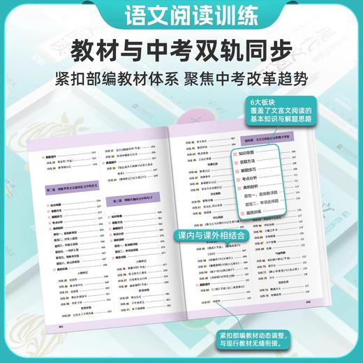 2026初中文言文现代文阅读高效训练88篇阅读理解专项训练阅读真题 商品图2