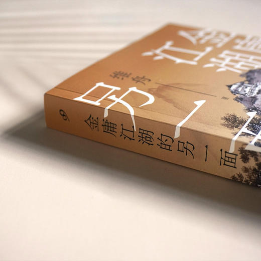 《金庸江湖的另一面》知名书评人维舟为你解读金庸江湖的隐藏面 商品图3