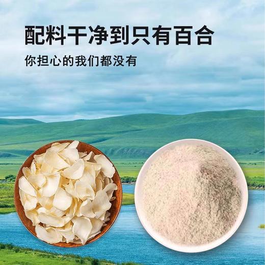 【暖暖专享】金洲百合精萃粉 精选兰州百合 配料干净  75g/盒（5g*15条） 商品图4
