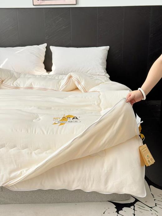 【经典李官奇大豆被升级款】升级55%大豆纤维A类抗菌冬被  天丝棉加厚子母被被芯 商品图3