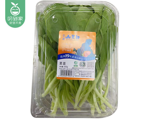 享通绿色鸡毛菜*2包（300g±30g/份） 商品图2