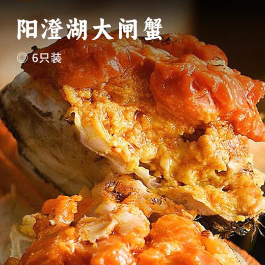 阳澄湖大闸蟹 | 原产地直采 新鲜到家 肉肥黄满 脚长黄毛 每只螃蟹都有身份证 扫码可溯源 死蟹不足称包赔  鲜活大闸蟹&礼赠蟹卡同步发售 商品图0