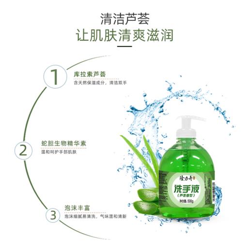 隆力奇芦荟洗手液500g 商品图2