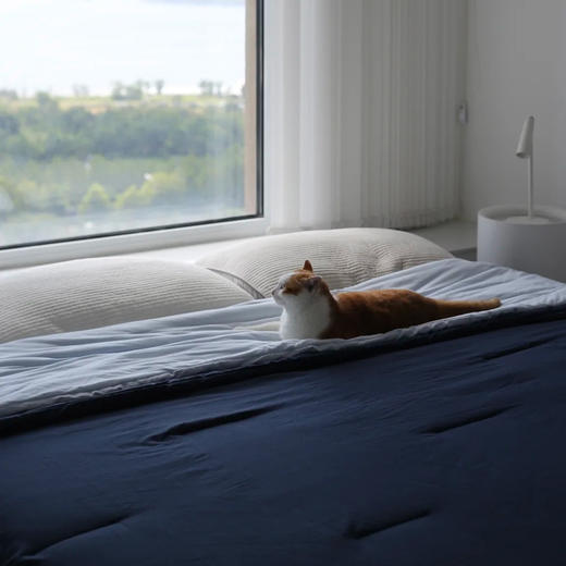 预售3天 【亚朵同款春秋被】双层子母被  实现内被控温（上层负责持久温暖，下层保证干爽透气） A类母婴级裸肌面料 整个被子都可以机洗 商品图5