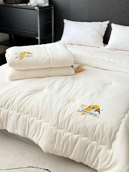 【经典李官奇大豆被升级款】升级55%大豆纤维A类抗菌冬被  天丝棉加厚子母被被芯 商品图5