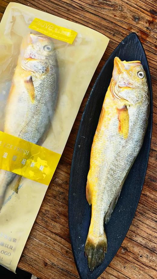 【京东包邮半野生黄花鱼】黄花鱼中秋节礼盒 吊笼半野生 体形细长 健硕没有胖胖的肚子 鲜鱼发货 肉质很紧实 没有土腥味基地直邮 商品图3