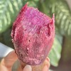 【云南香芋紫薯】肉质细腻 软糯香甜  皮薄易剥 新鲜美味 解锁紫薯多样吃法 4种规格任选 商品缩略图1