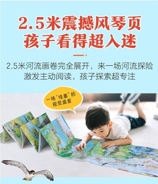 乐乐趣 3-8岁360度科普全册礼包（11册） 商品图2