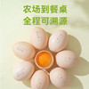 【广东农垦】凤鲜-富叶黄素可生食无抗营养鸡蛋30枚/箱 商品缩略图4