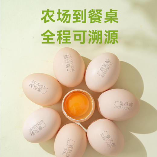 【广东农垦】凤鲜-富叶黄素可生食无抗营养鸡蛋30枚/箱 商品图4