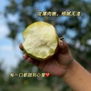 隰县玉露香梨#皮薄核小脆甜多汁无渣，核心产区现摘现发，自然树上熟，不打蜡，秋冬润喉润燥 商品缩略图2