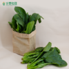 生态菠菜 | 鲜嫩爽口 清新自然 | 石嫣农场  * Spinach | 商品缩略图1