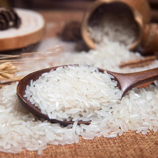 福临门丝苗米5KG+福临门泰玉香尚品茉莉香米5KG 商品图2