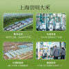 崇明大米正宗 崇明岛2025新米 鲜香大米5kg软糯珍珠米粳米香米 含胚芽10斤 /粮油调味 /米 /珍珠米 商品缩略图4