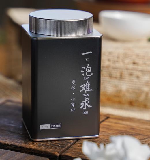 【高奢龙珠】【一泡难求曼松小高杆】2024年头春古树重磅资源老客分享，品质远超古树 树高大约在8米左右，70克/罐 商品图0