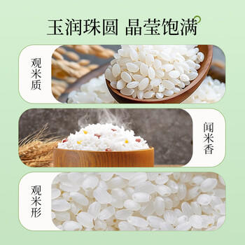 崇明大米正宗 崇明岛2025新米 鲜香大米5kg软糯珍珠米粳米香米 含胚芽10斤 /粮油调味 /米 /珍珠米 商品图6