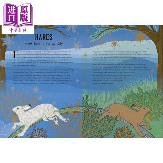 【中商原版】动物隐藏的智慧 The Hidden Wisdom of Animals Surprising Things We Can Learn From Nature 英文原版科普读物 商品图1