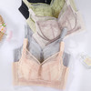ZYQ-602  纸片杯内衣薄款透气蕾丝性感舒适收副乳调整型大胸显瘦无磁文胸女（单件） 商品缩略图1