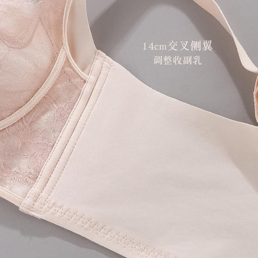 ZYQ-637  小胸聚拢内衣透气收副乳无钢圈莫代尔上托显大调整型蕾丝文胸女士（单件） 商品图2