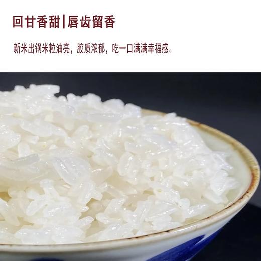稻花香大米 10kg/袋 【GY】 商品图2