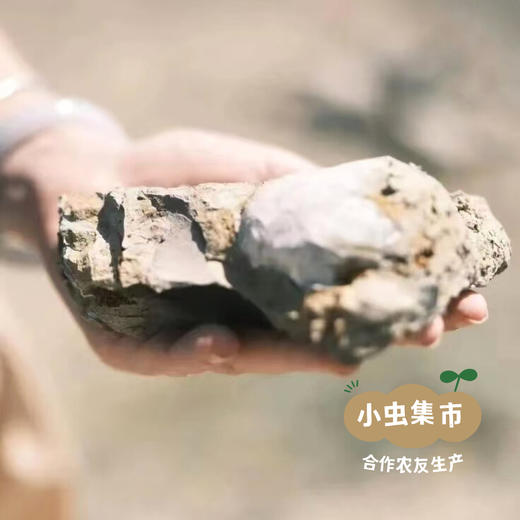 雅琪朵绿泥牙膏系列 75ml | 合作农友生产，意大利原装进口，生产商：ARGITAL*雅琪朵【公平贸易农人定价】 商品图12