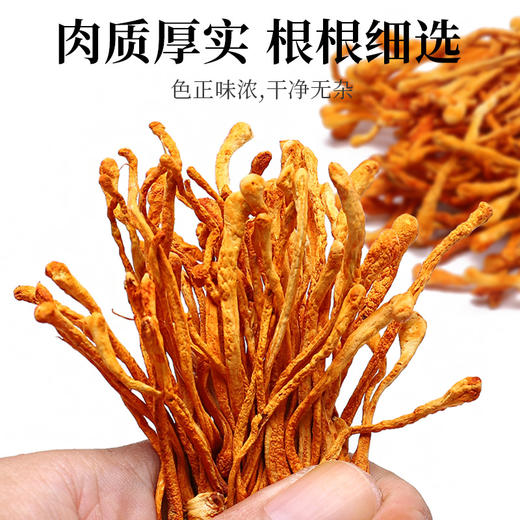 有机虫草花100g 商品图7