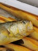 【京东包邮半野生黄花鱼】黄花鱼中秋节礼盒 吊笼半野生 体形细长 健硕没有胖胖的肚子 鲜鱼发货 肉质很紧实 没有土腥味基地直邮 商品缩略图4