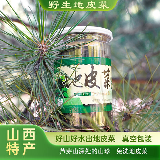 野生免洗地皮菜农家食用干货罐装 商品图2