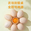 【广东农垦】凤鲜-富硒可生食无抗营养鸡蛋30枚/箱 商品缩略图4