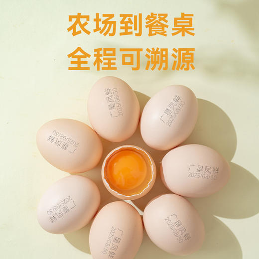 【广东农垦】凤鲜-富硒可生食无抗营养鸡蛋30枚/箱 商品图4
