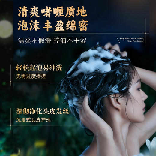 【200积分+29.9元】怡长轻 侧柏叶生姜植萃洗发水 500ml/瓶 控油蓬松清爽去屑 商品图3