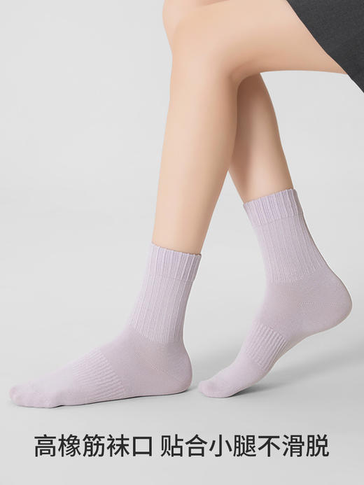 副歌高棉基础抑菌2670/1617 商品图7