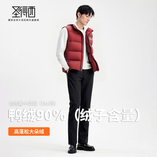 【鸭绒90%】圣得西男锁温立领羽绒背心2025秋冬款不跑绒简约外套 商品图3