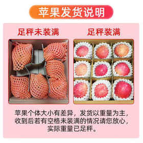 京觅洛川红富士苹果 4.5斤 单果235g+ 时令新鲜水果生鲜脆甜 源头直发