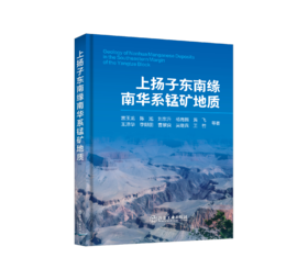上扬子东南缘南华系锰矿地质