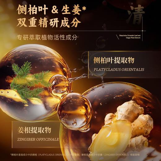 【200积分+29.9元】怡长轻 侧柏叶生姜植萃洗发水 500ml/瓶 控油蓬松清爽去屑 商品图1