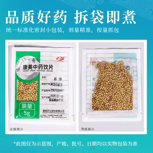 谷芽 康美中药饮片 独立小包装10g起 商品图5