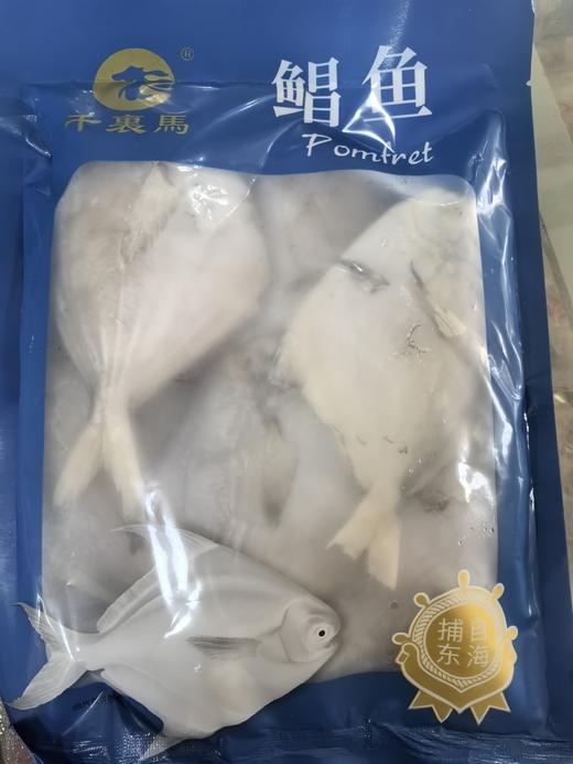 （冻）千里马野生小鲳鱼9.8元1袋500g,明天到 商品图0