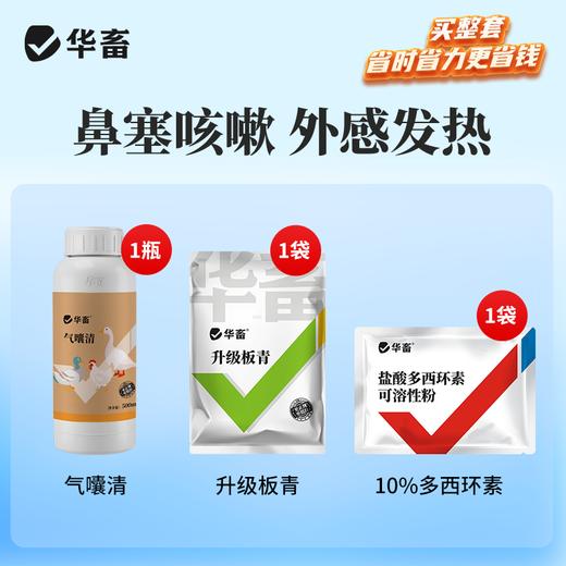【鼻塞咳嗽 外感发热】升级板青+气囔清+多西环素 商品图0